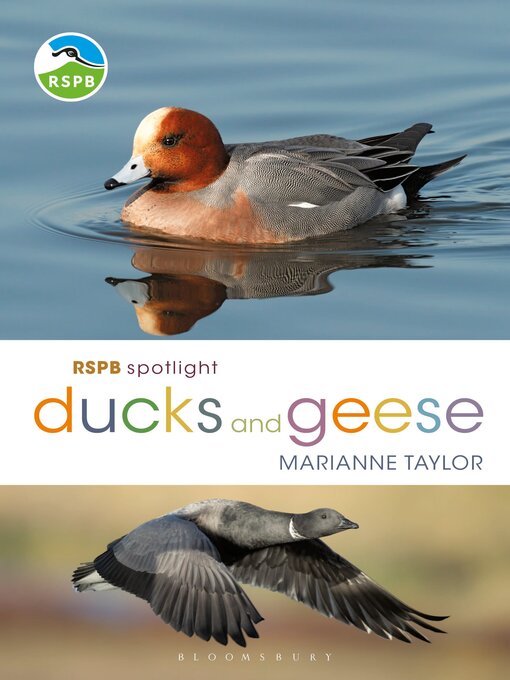 Title details for RSPB Spotlight Ducks and Geese by Marianne Taylor - Available